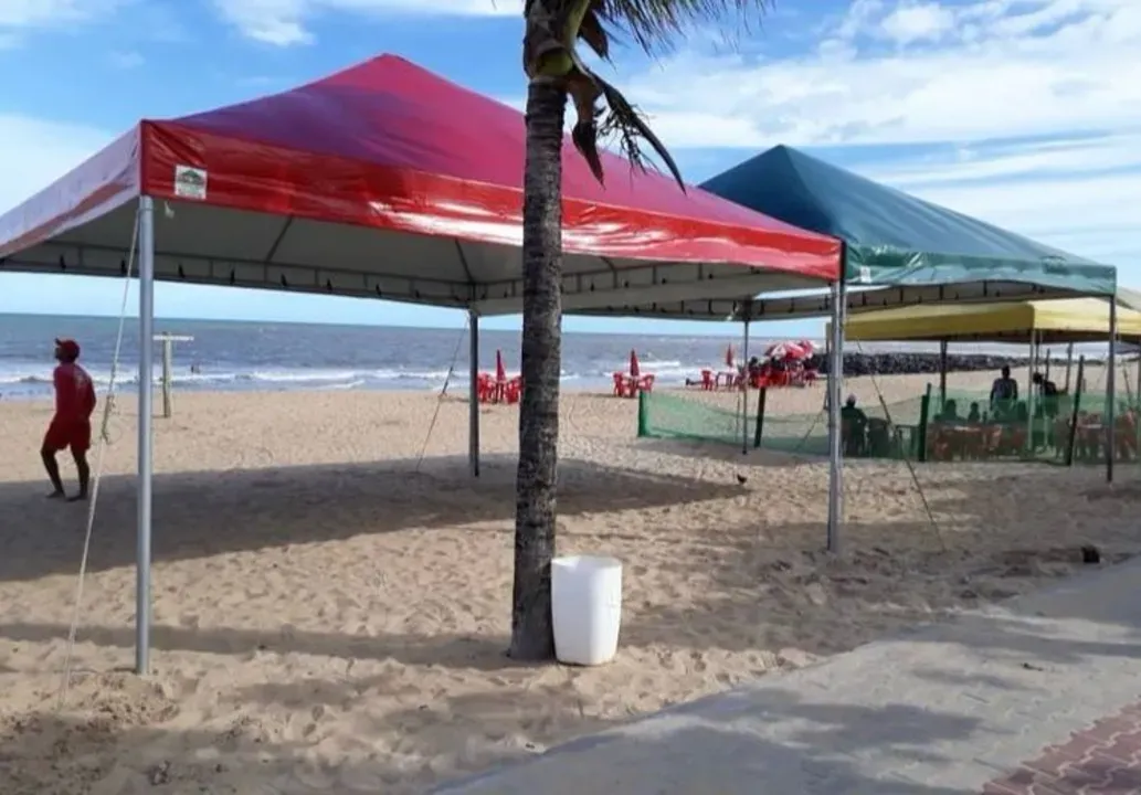 Imagem 3